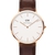 Daniel-Wellington-Classic-Bristol-Gold