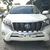 Bán Toyota prado txl 2017 đủ màu, mới 100%, xe giao ngay