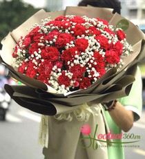bó hoa cẩm chướng đỏ.