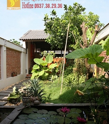 Thiết kế sân vườn đẹp hiện đại ở Đồng Nai, HCM