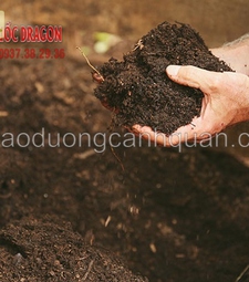 Đất màu trồng cây, đất đổ dự án ở Đồng Nai, HCM