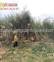 Dịch vụ cắt cỏ, phát hoang cỏ dự án ở TpHCM, Đồng Nai