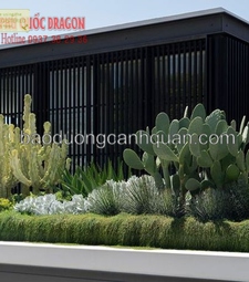 Thiết kế Thi công sân vườn đẹp ở Đồng Nai, HCM