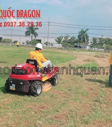 Dịch vụ cắt cỏ, phát hoang cỏ dự án TpHCM, Đồng Nai