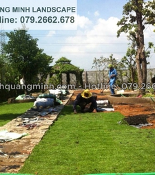 Dịch vụ trồng cỏ sân vườn, biệt thự ở TpHcm, Đồng Nai