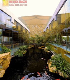 Thiết kế hồ cá Koi sân vườn hiện đại nhất Đồng Nai, Hcm