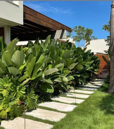 Dịch vụ Cải tạo cảnh quan sân vườn ở HCM, Đồng Nai, BRVT