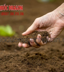 Đất màu trồng cây, đất phù sa giá tốt ở kv đồng nai, hcm, lo