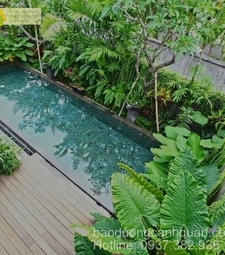 Thiết kế sân vườn tiểu cảnh có hồ bơi đẹp ở Đồng Nai, H