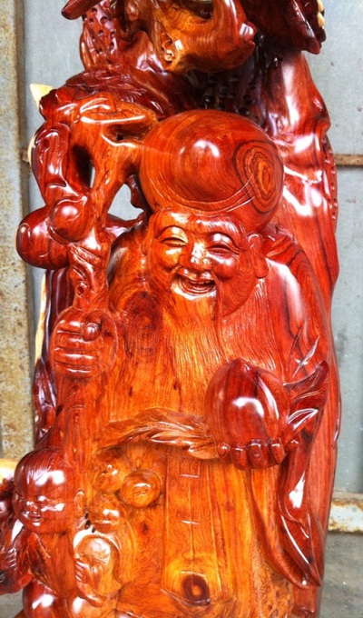 tượng ông thọ gốc tùng