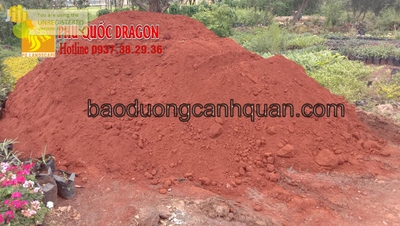 Cung cấp đất màu trồng cây chất lượng ở Đồng Nai