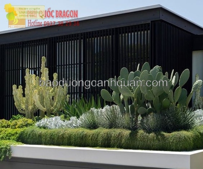  Sân vườn đẹp, thiết kế thi công tại Đồng Nai, HCM