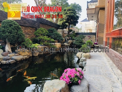Không gian, vị trí thiết kế hồ cá Koi ngoài trời ở Đồng Nai
