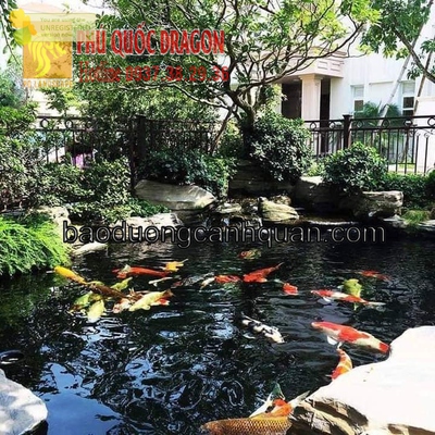 Thiết kế thi công cảnh quan sân vườn, quán cà phê,…