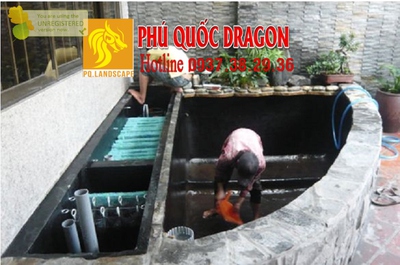 Vệ sinh bể lọc hồ cá Koi TpHcm, Đồng Nai, Brvt…