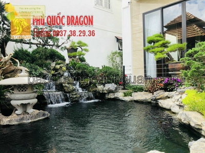 Thiết kế bể cá Koi đậm chất Nhật Bản giữa lòng Sài Gòn