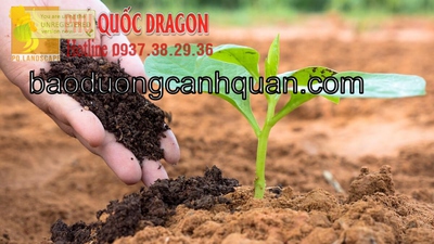 Cung cấp Đất màu trồng cây tại TpHcm, Đồng Nai…