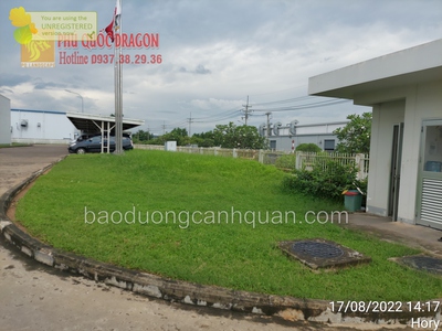 Chăm sóc, bảo dưỡng cây xanh ở Biên Hòa, Đồng Nai