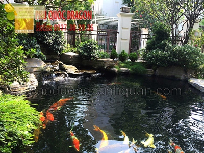Thi công hồ cá Koi sân vườn phong thủy ở Đồng Nai, Brvt, Hcm