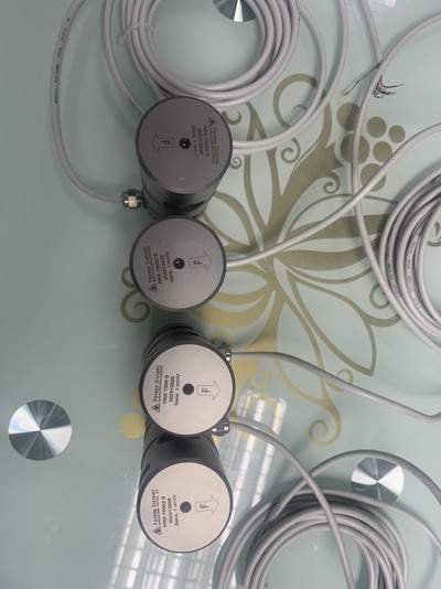 Load cell Pin PRX Hãng Sx Pavone Italia