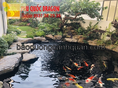 Dịch vụ vệ sinh lọc hệ thống lọc hồ cá Koi ở Đồng Nai, HCM