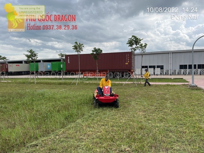 Cắt c.ỏ phát hoang nhà xưởng ở Đồng Nai, HCM, BRVT