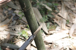 Ảnh số 12: Xẻng TP 008- Turning Point - Giá: 1.590.000