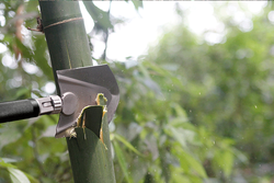 Ảnh số 27: Xẻng TP 009- Turning Point - Giá: 1.550.000