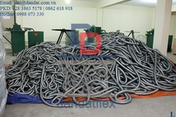 Ảnh số 5