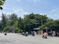 Ảnh số 1