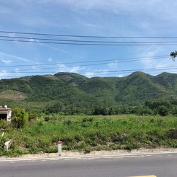 Ảnh số 3: Bán đất Mặt tiền đường tĩnh lộ 3 vào Phước Đồng – Cam Lâm - Khánh Hòa, Việt Nam - Giá: 32.000.000.000