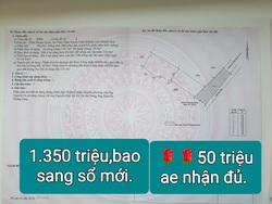 Ảnh số 1