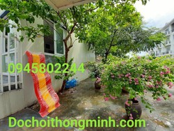 Ảnh số 62