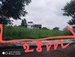 Ảnh số 5
