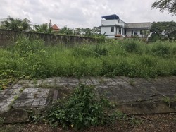 Ảnh số 6