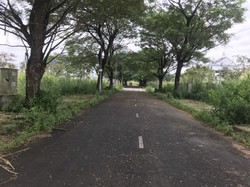 Ảnh số 8