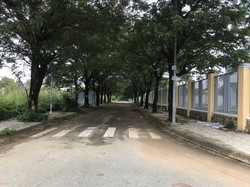 Ảnh số 9