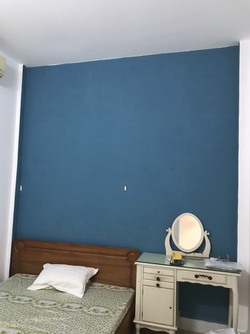 Ảnh số 11