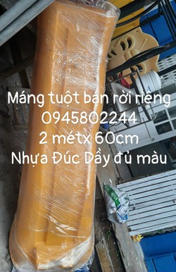 Ảnh số 17