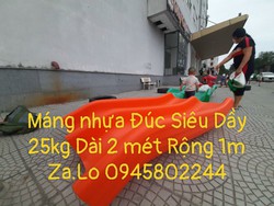 Ảnh số 7