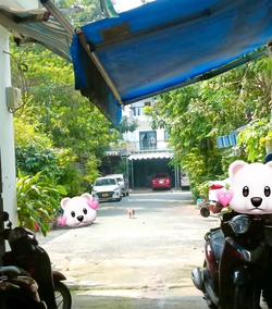Ảnh số 3