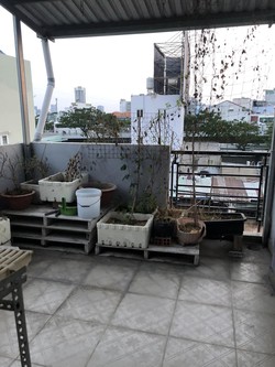 Ảnh số 8
