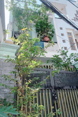 Ảnh số 1
