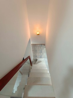 Ảnh số 6