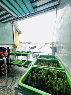 Ảnh số 12