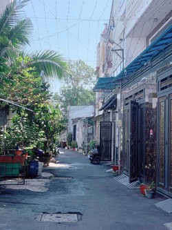 Ảnh số 2