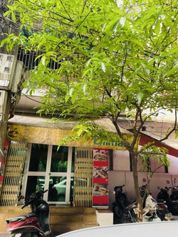 Ảnh số 3: Bán nhà thành công - Giá: 3.000