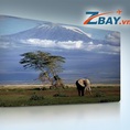 Vé máy bay đi kenya