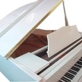 Đàn Piano Grand Ritmuller