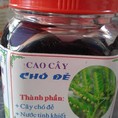 Chuyên cung cấp cao lá vằng